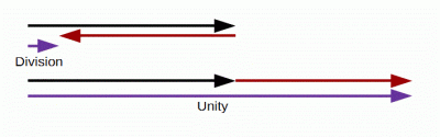 Arrows showing forces at work at division compared to unity.